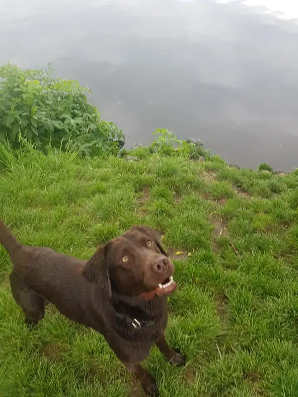 20180519 154411